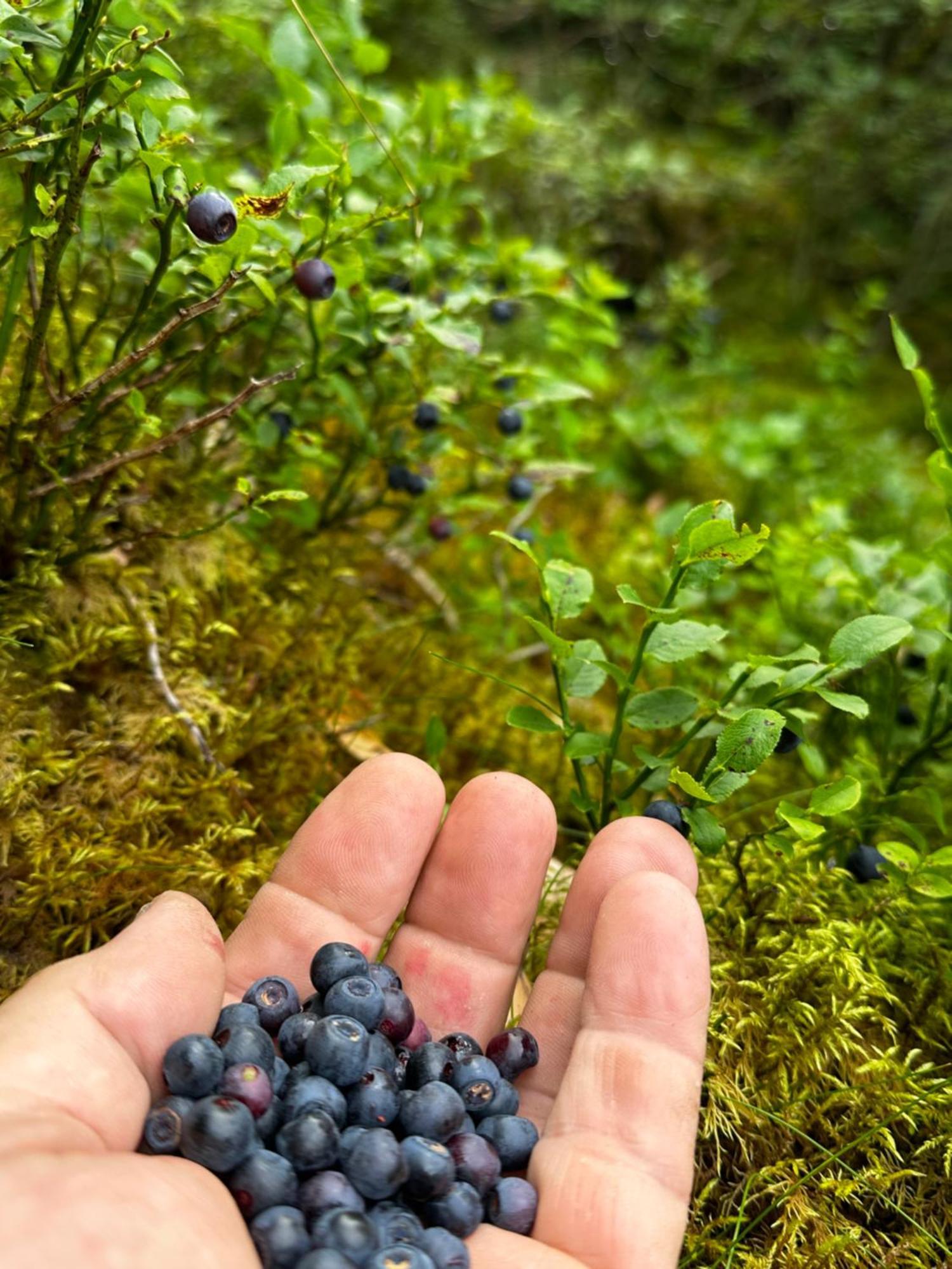 En Ardèche En Face De La Rivière *