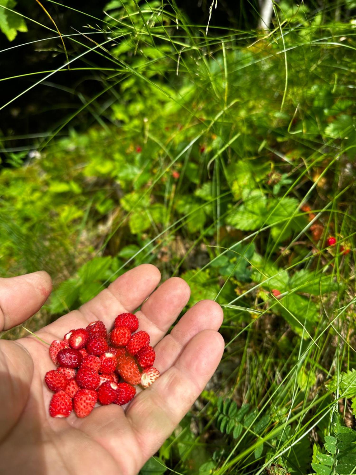 En Ardèche En Face De La Rivière Hébergement de vacances